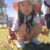 🍄‍🟫10月のなみきッズ～ちゅうりっぷ組さん～🍄‍🟫